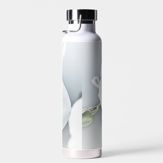 Witte faleonopsis orchidee waterfles (Rechts)