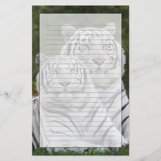 Witte fase, Bengaalse tijger, Tigris Briefpapier (Voorkant)