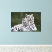Witte fase, Bengaalse tijger, Tigris Canvas Afdruk (Insitu (Houten vloer))