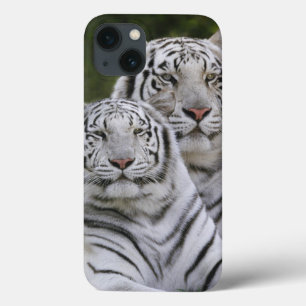 Witte fase, Bengaalse tijger, Tigris Case-Mate iPhone Case