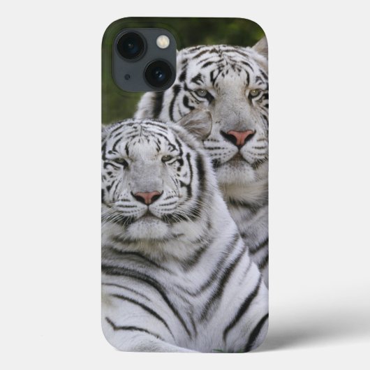 Witte fase, Bengaalse tijger, Tigris Case-Mate iPhone Case (Achterkant)