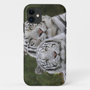 Witte fase, Bengaalse tijger, Tigris iPhone 11 Hoesje