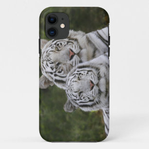 Witte fase, Bengaalse tijger, Tigris Case-Mate iPhone Case