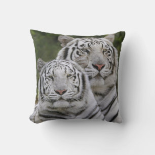 Witte fase, Bengaalse Tijger, Tigris Kussen