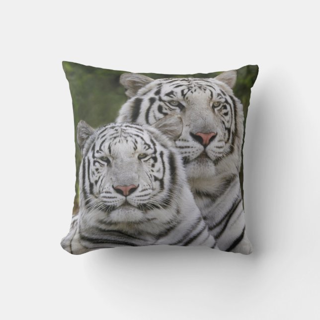 Witte fase, Bengaalse Tijger, Tigris Kussen (Voorkant)