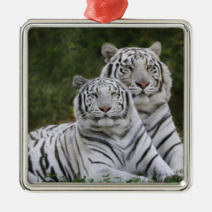 Witte fase, Bengaalse Tijger, Tigris Metalen Ornament