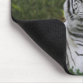 Witte fase, Bengaalse tijger, Tigris Muismat (Hoek)