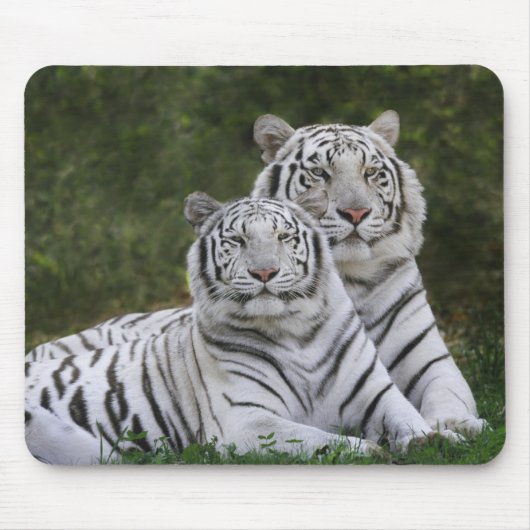 Witte fase, Bengaalse tijger, Tigris Muismat (Voorkant)