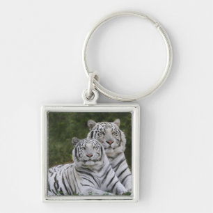 Witte fase, Bengaalse Tijger, Tigris Sleutelhanger
