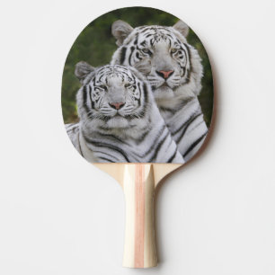 Witte fase, Bengaalse tijger, Tigris Tafeltennisbatje