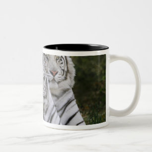 Witte fase, Bengaalse tijger, Tigris Tweekleurige Koffiemok