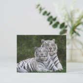 Witte fase, Bengal Tiger, Tigris Briefkaart (Staand voorkant)