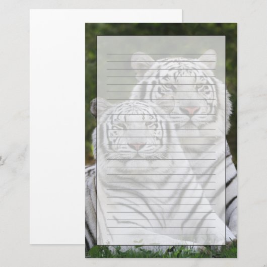 Witte fase, Bengal Tiger, Tigris Briefpapier (Voorkant / Achterkant)