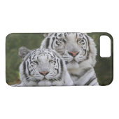 Witte fase, Bengal Tiger, Tigris Case-Mate iPhone Case (Achterkant (Horizontaal))
