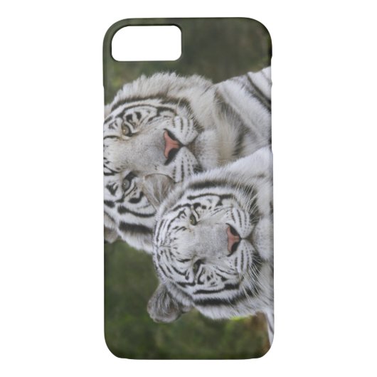 Witte fase, Bengal Tiger, Tigris Case-Mate iPhone Case (Achterkant)