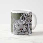 Witte fase, Bengal Tiger, Tigris Grote Koffiekop (Voorkant rechts)