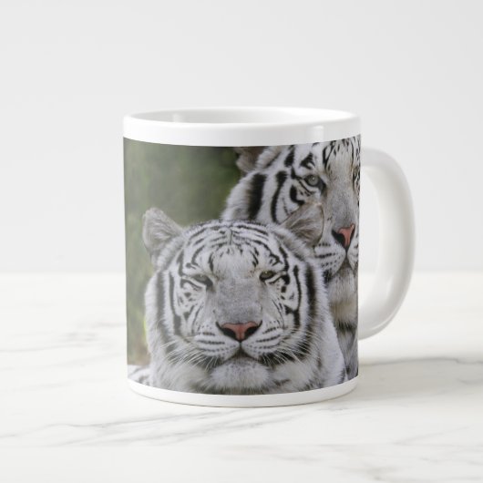 Witte fase, Bengal Tiger, Tigris Grote Koffiekop (Voorkant rechts)