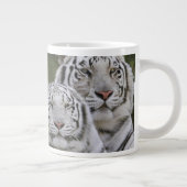 Witte fase, Bengal Tiger, Tigris Grote Koffiekop (Rechts)