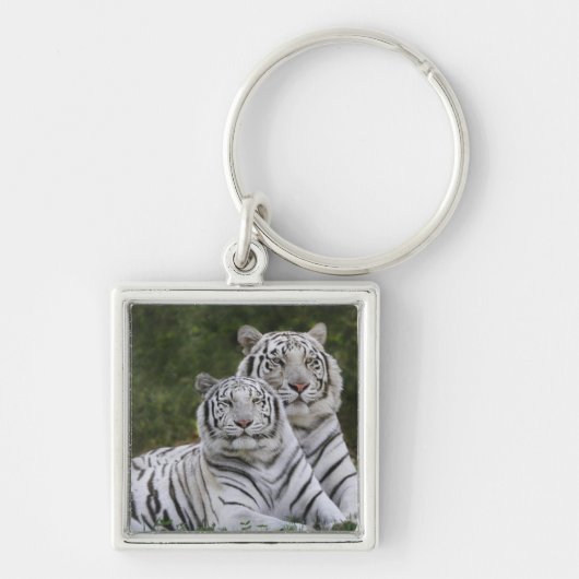 Witte fase, Bengal Tiger, Tigris Sleutelhanger (Voorkant)