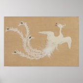 Witte Fenix Poster (Voorkant)