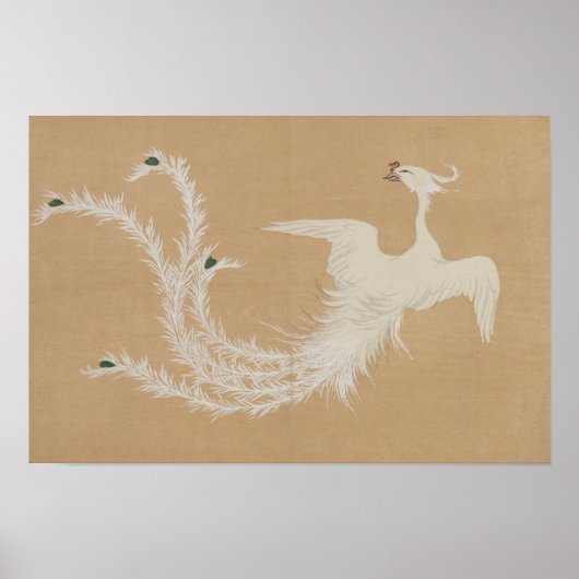 Witte Fenix  Poster (Voorkant)