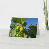 Witte figuren op boomkaart kaart (Voorkant)