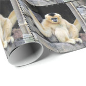 Witte, fijngekookte Gibbon-omslagpapier Cadeaupapier (Rol Hoek)