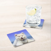 Witte Finse Lapphond Puppy Schattig Kartonnen Onderzetters (Insitu)