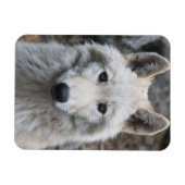 WITTE FLEXIBELE MAGNET MAGNEET (Horizontaal)