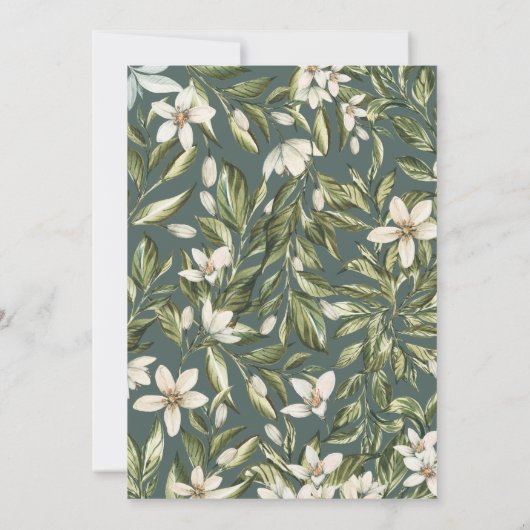 Witte flora en bladblaasbloesem, christendemocten (Achterkant)