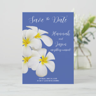 Witte Frangipani Flowers, op Blauw, sparen de Datu Kaart