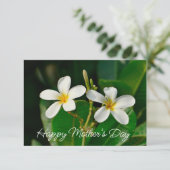 Witte Frangipani Kaart (Staand voorkant)