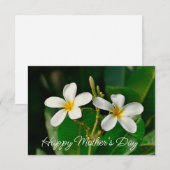 Witte Frangipani Kaart (Voorkant / Achterkant)