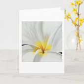 Witte Frangipani Kunstkaart Kaart (Gele Bloem)