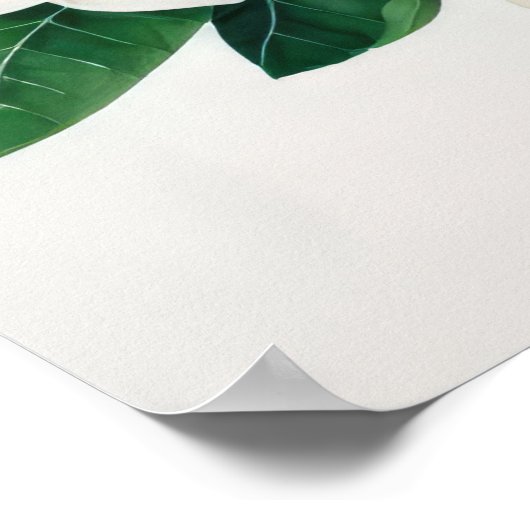 Witte Frangipani Waterverf Bloem Poster (Hoek)