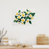 Witte Frangipani Waterverf Bloem Poster (Keuken)