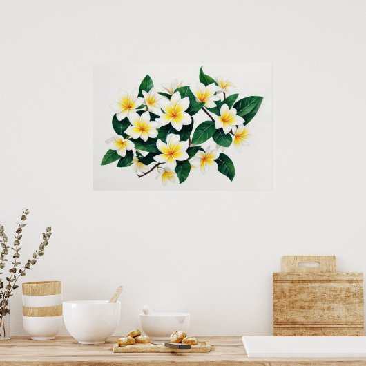 Witte Frangipani Waterverf Bloem Poster (Keuken)