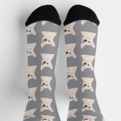 Witte Franse Bulldog, Strepen Sokken (Top)