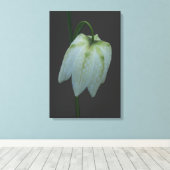 Witte Fritillary Flower Canvas Afdruk (Insitu (Houten vloer))