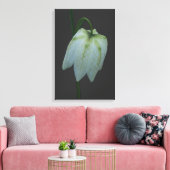 Witte Fritillary Flower Canvas Afdruk (Insitu (Woonkamer))