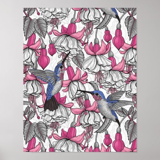 Witte fuchsie en kolibrie poster (Voorkant)