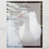 Witte gans briefhoofd (Voorkant)