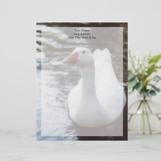 Witte gans briefhoofd (Staand voorkant)