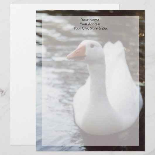 Witte gans briefhoofd (Voorkant / Achterkant)