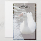 Witte gans briefpapier (Voorkant / Achterkant)