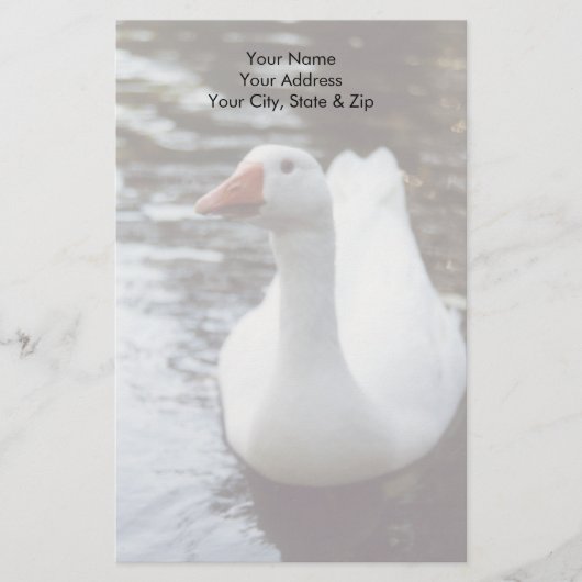 Witte gans briefpapier (Voorkant)