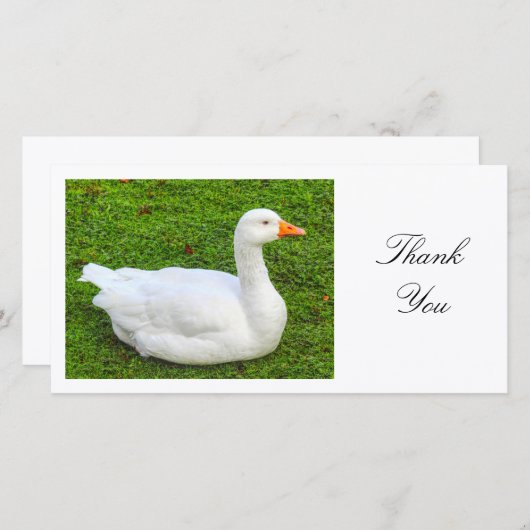 Witte Gans - Dank je Bedankkaart (Voorkant / Achterkant)