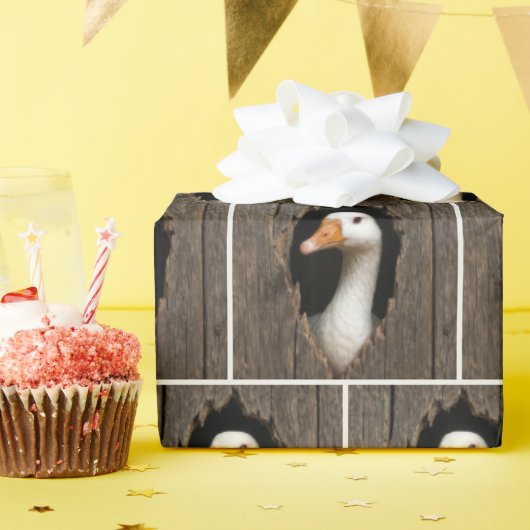 Witte gans gluren uit grillig houten gat cadeaupapier (Verjaardagsfeest)