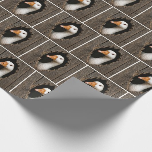 Witte gans gluren uit grillig houten gat cadeaupapier (Hoek)