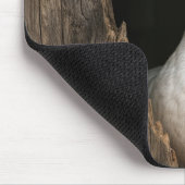 Witte gans gluren uit grillig houten gat muismat (Hoek)